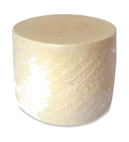 Pecorino Romano whole cheese 25 kg ca